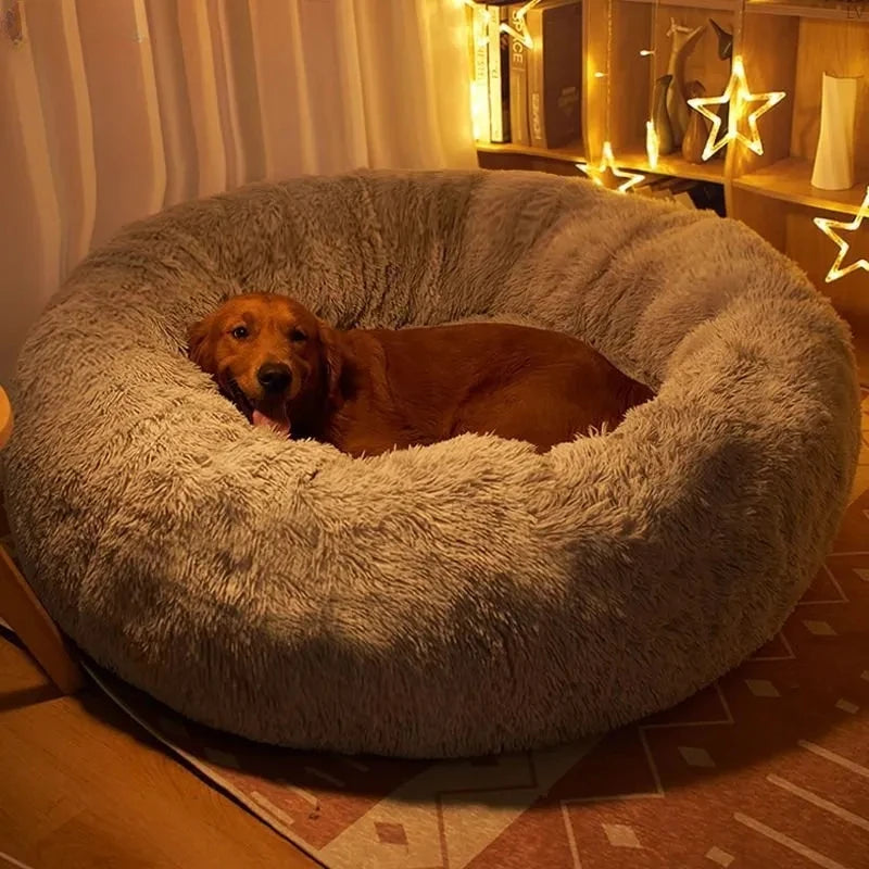 Cozy Donut Cuddler Bed