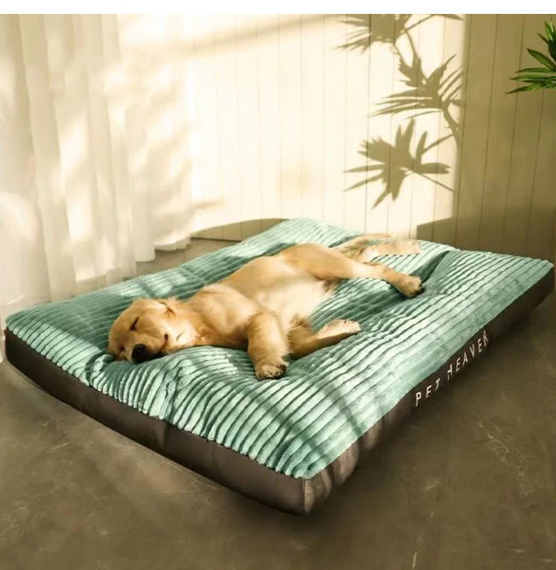 Comfort Pet Bed/Mat