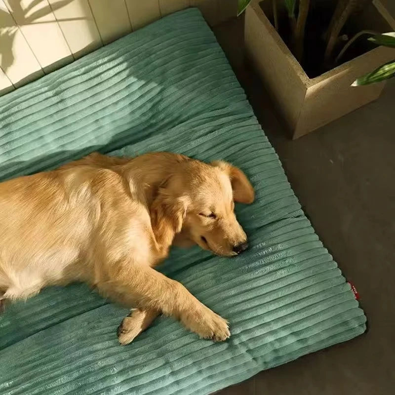 Comfort Pet Bed/Mat